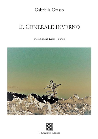 Copertina di Il Generale Inverno