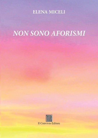 Copertina di Non sono aforismi