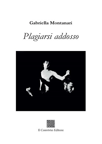 Copertina di Plagiarsi addosso