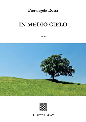 Copertina di In medio cielo