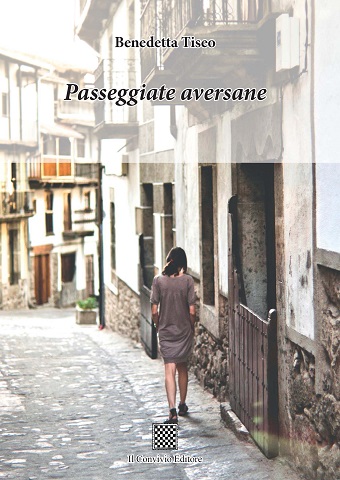 Copertina di Passeggiate aversane