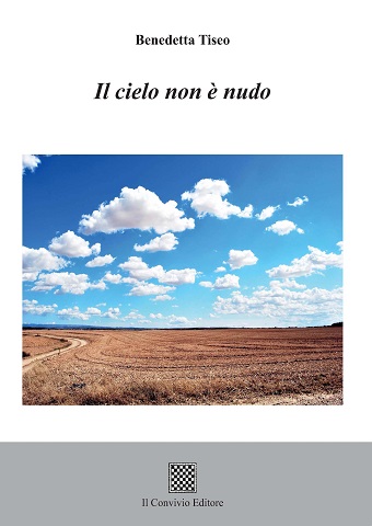 Copertina di Il cielo non è nudo