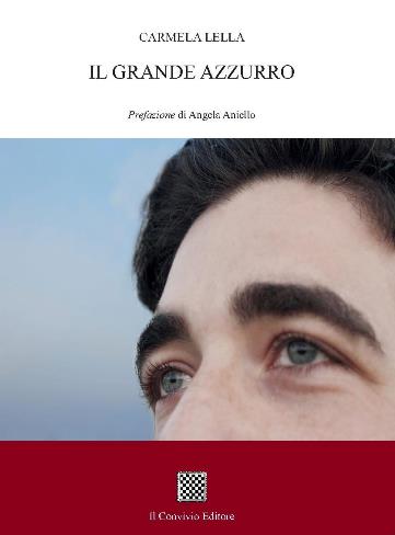 Copertina di Il grande azzurro 