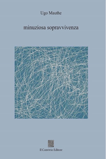 Copertina di Minuziosa sopravvivenza