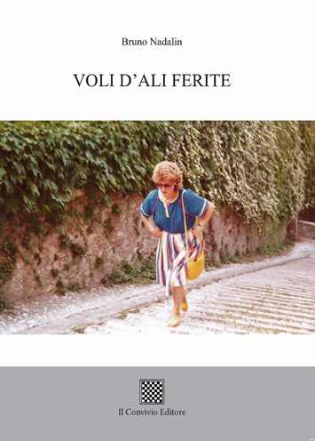 Copertina di Voli d'ali ferite