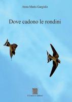 Dove cadono le rondini di Anna Maria Gargiulo